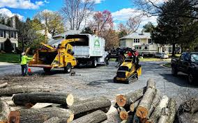 Best Leaf Removal  in South Kensington, MD